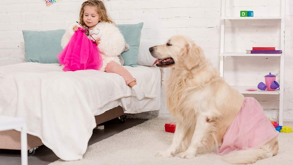 girl knitting with a golden retriever by bed